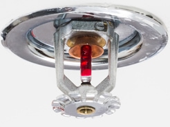 Fire sprinkler